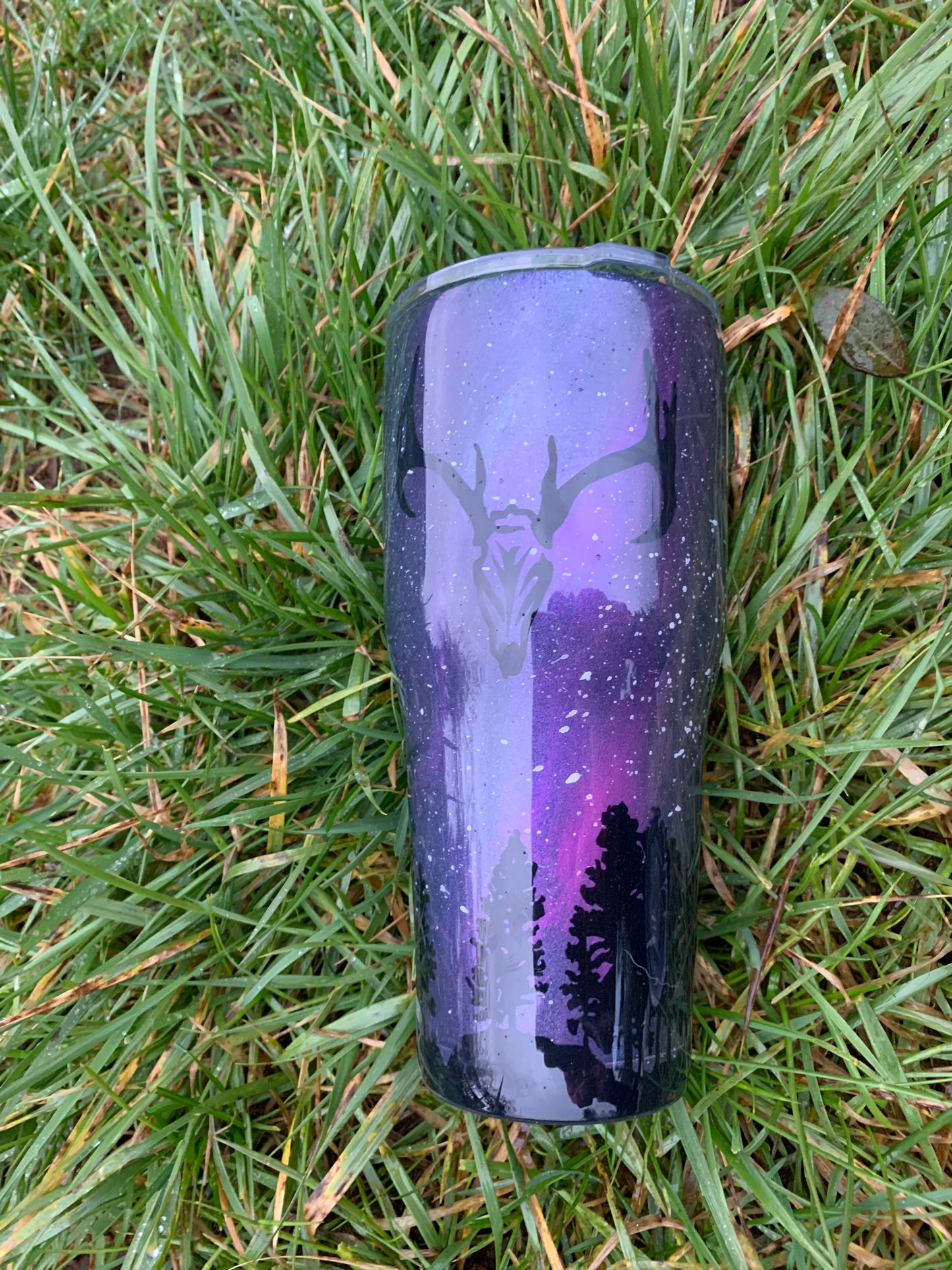 Northern Lights Tumbler